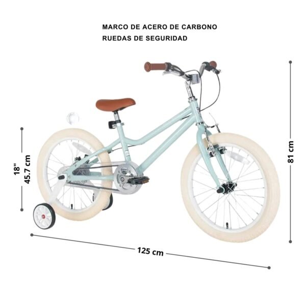 Bicicleta Vintage - Imagen 4