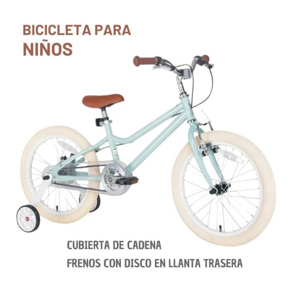 Bicicleta Vintage